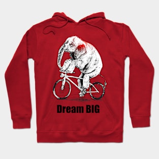 Dream BIG Hoodie